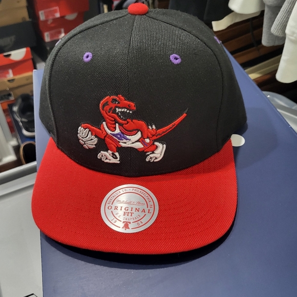 Jordan 37 Raptors/Hat included - Picture 4 of 6